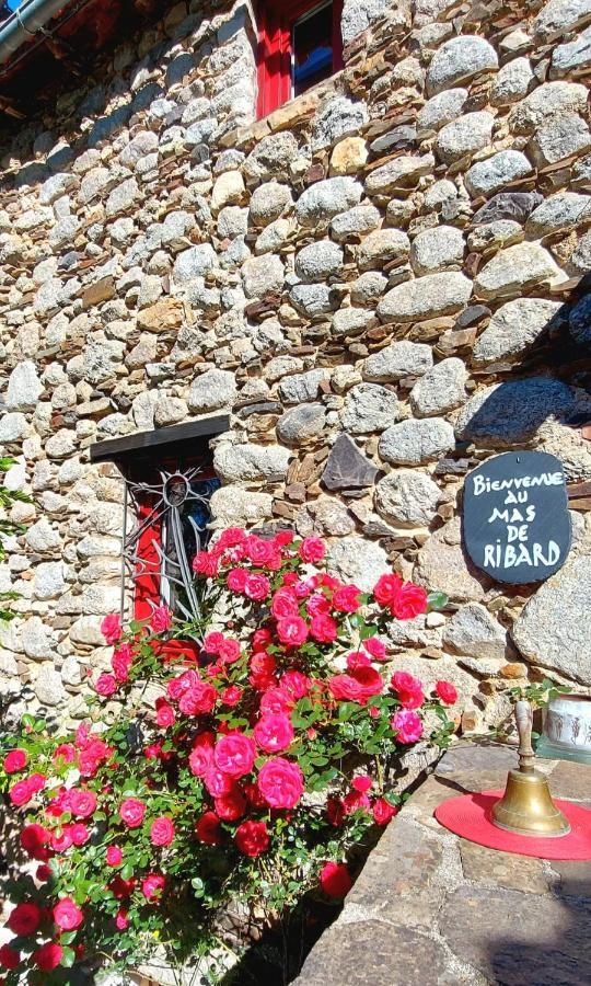 Le Mas De Ribard Bréau-et-Salagosse Esterno foto