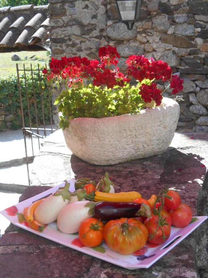 Le Mas De Ribard Bréau-et-Salagosse Esterno foto