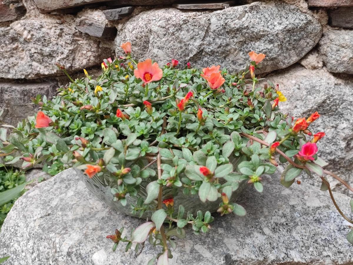 Le Mas De Ribard Bréau-et-Salagosse Esterno foto